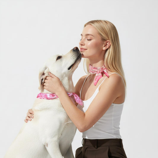 Woman holding a Labrador Retriever wearing pink bandanas against a plain background