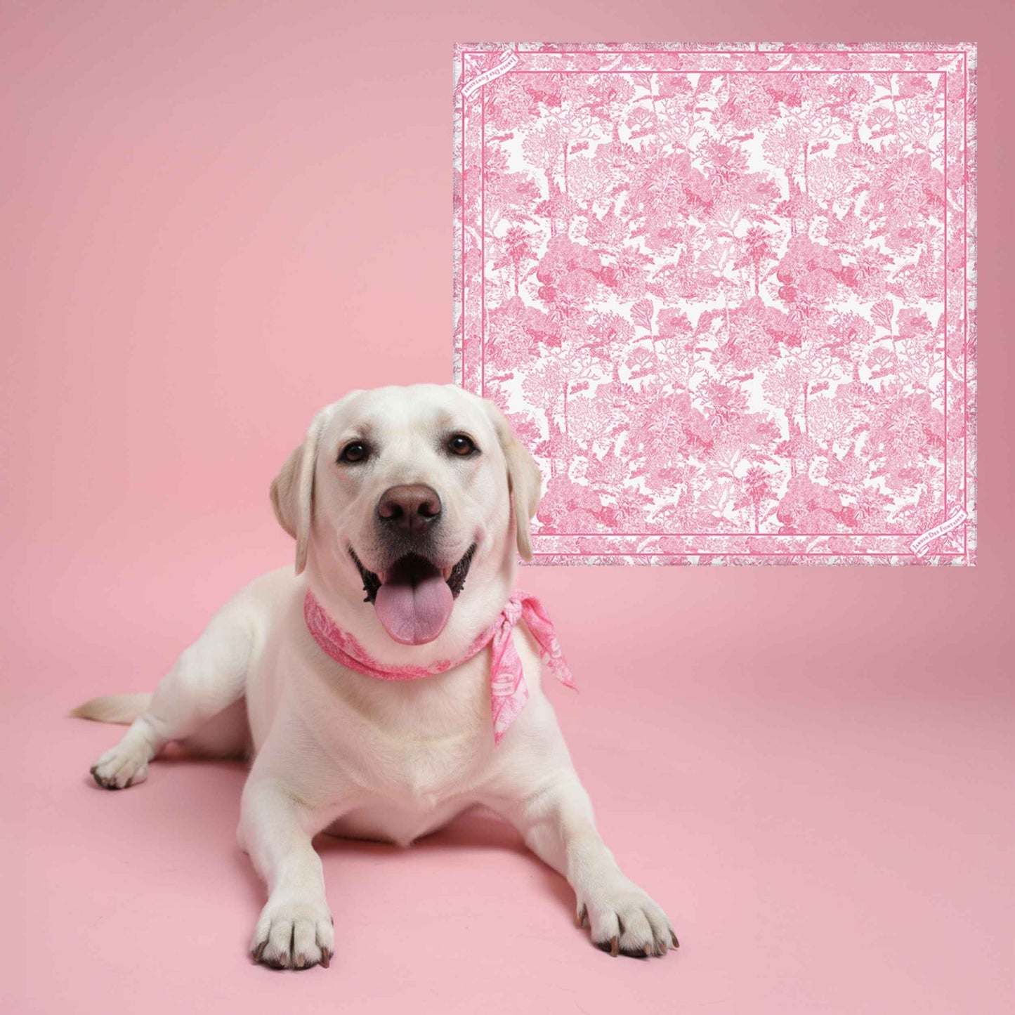 Twinning Outfits | Toile De Jouy Pink Silky Scarf