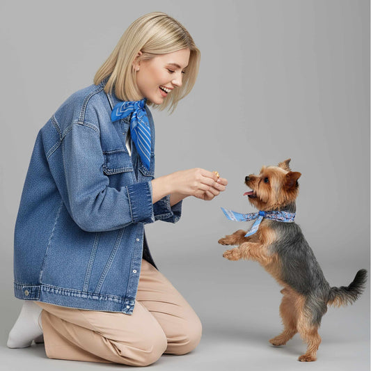 Woman in denim jacket and beige pants kneeling down to interact with a small dog on a gray background