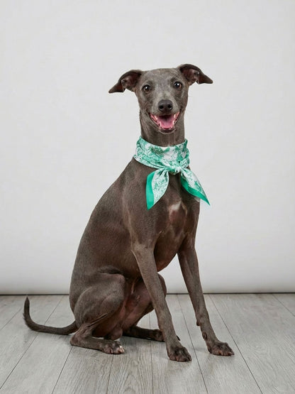 Pet Scarf  | Toile De Jouy Mint Green Twilly Scarf