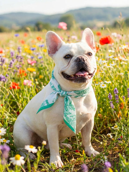 Pet Scarf  | Toile De Jouy Mint Green Twilly Scarf