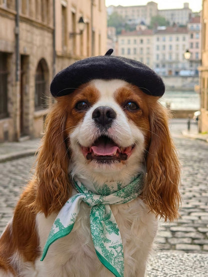 Pet Scarf  | Toile De Jouy Mint Green Twilly Scarf