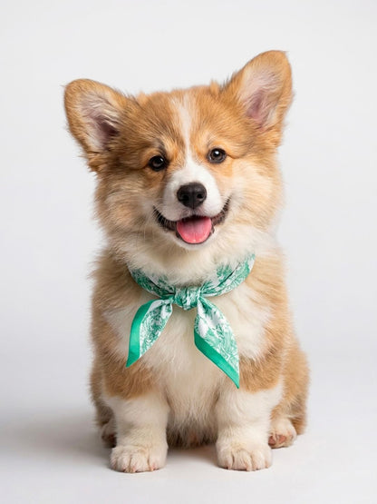 Pet Scarf  | Toile De Jouy Mint Green Twilly Scarf