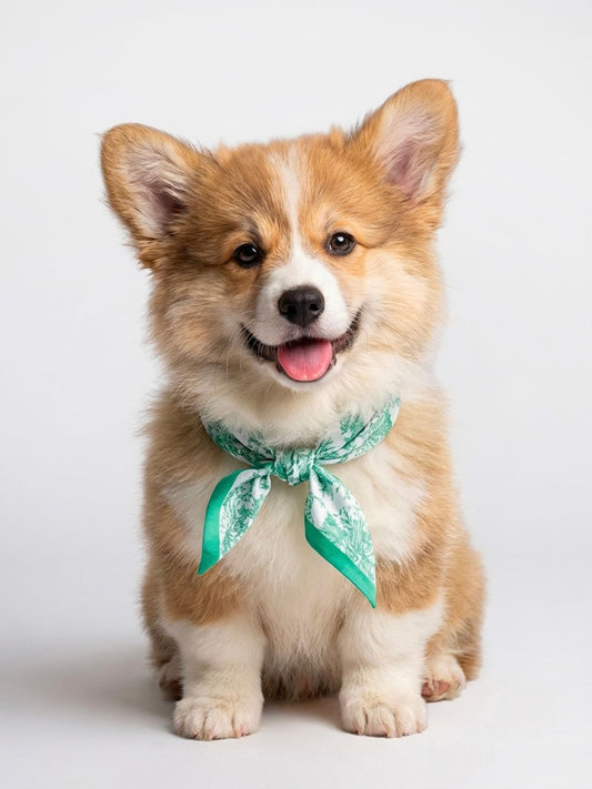 Pet Scarf  | Toile De Jouy Mint Green Twilly Scarf