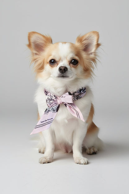 同款造型｜左岸花園長帶荷蘭牡丹絲巾