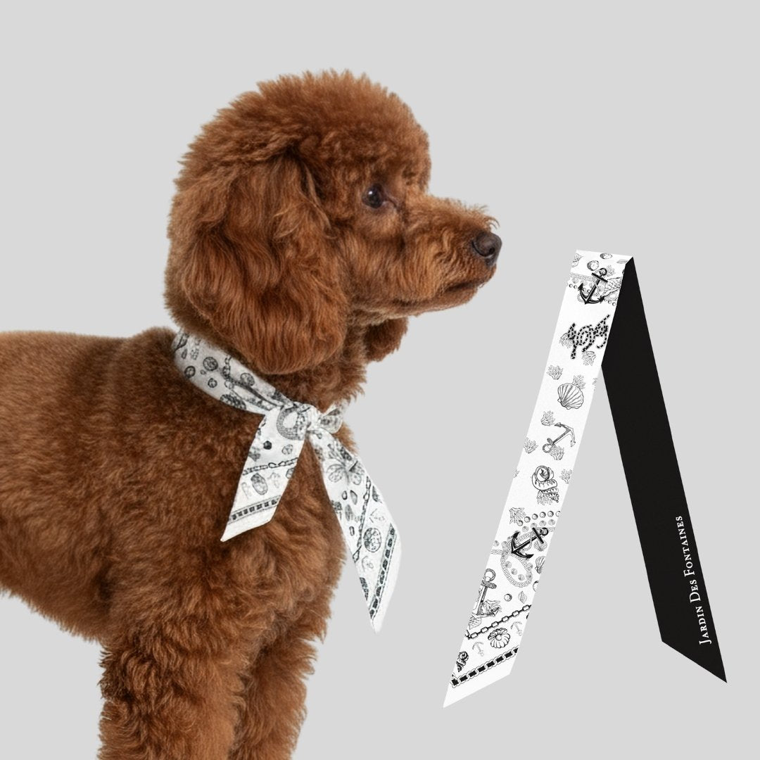 Pet & Owner Twinning Outfits  | Classy and Fabulous Scarf & Tote Bag Set