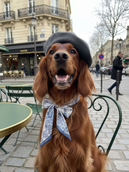 同款造型｜左岸花園長帶荷蘭牡丹絲巾