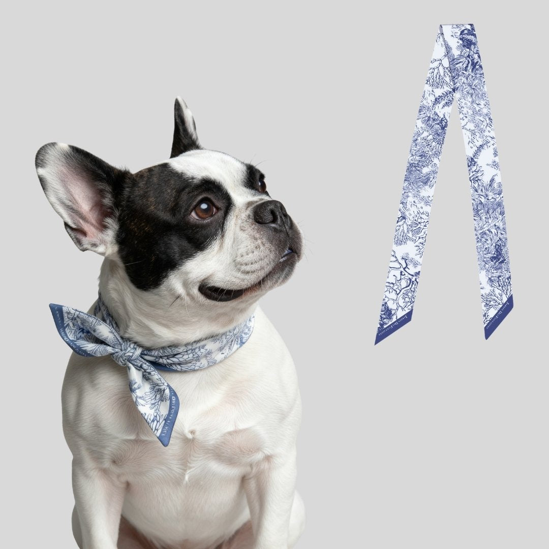 同款造型｜左岸花園長帶荷蘭牡丹絲巾