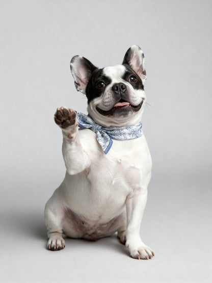 同款造型｜左岸花園長帶荷蘭牡丹絲巾