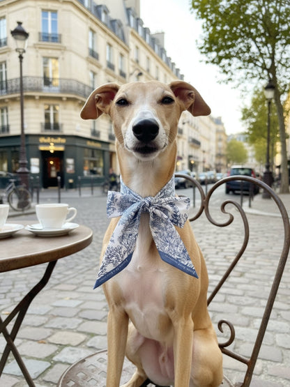 同款造型｜左岸花園長帶荷蘭牡丹絲巾