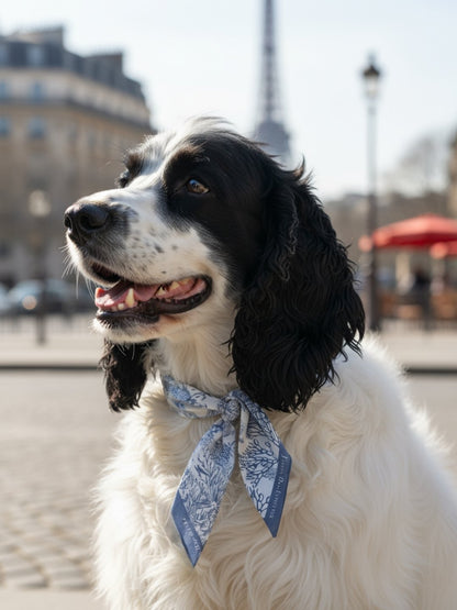 同款造型｜左岸花園長帶荷蘭牡丹絲巾
