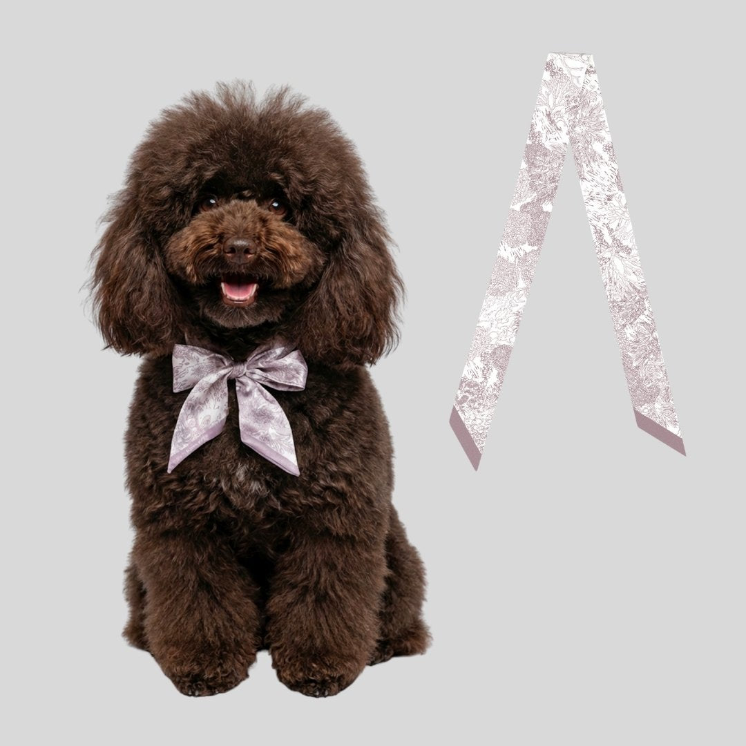 同款造型｜左岸花園長帶荷蘭牡丹絲巾