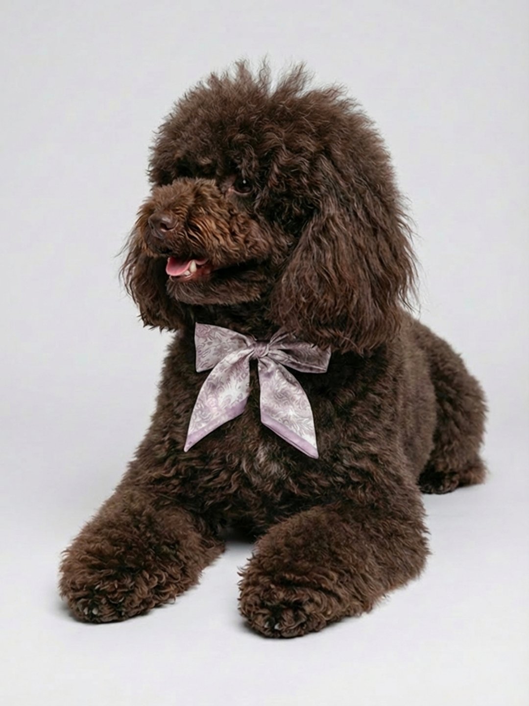 同款造型｜左岸花園長帶荷蘭牡丹絲巾