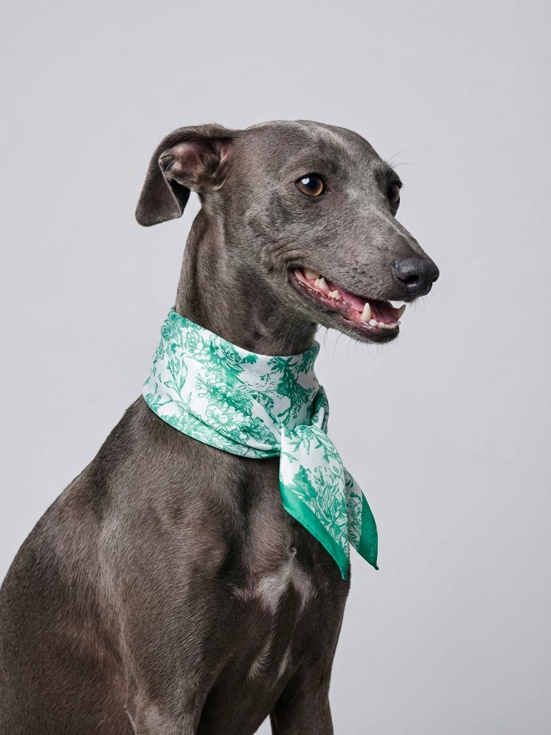 同款造型｜維納斯花園絲巾