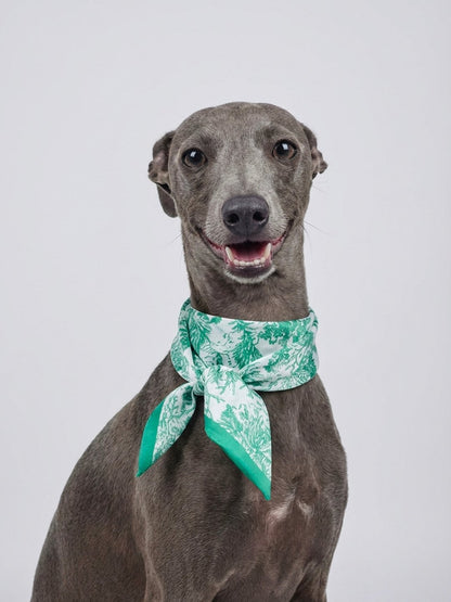 同款造型｜維納斯花園絲巾