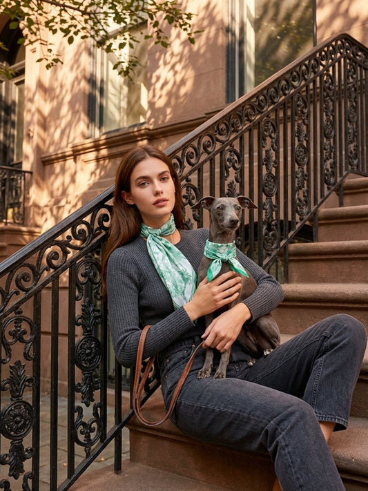 Pet & Owner Twinning Outfits  | Toile De Jouy Mint Green Silky Scarf Set