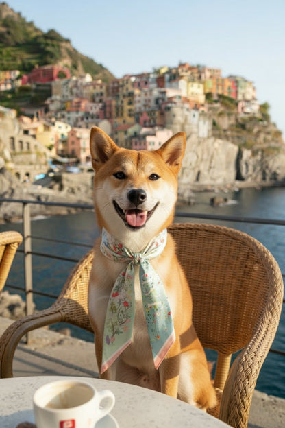 Pet & Owner Twinning Outfits  | Venus Garden of Love Scarf & Tote Bag Set