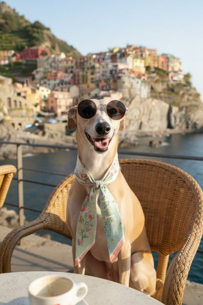 Pet & Owner Twinning Outfits  | Venus Garden of Love Scarf & Tote Bag Set