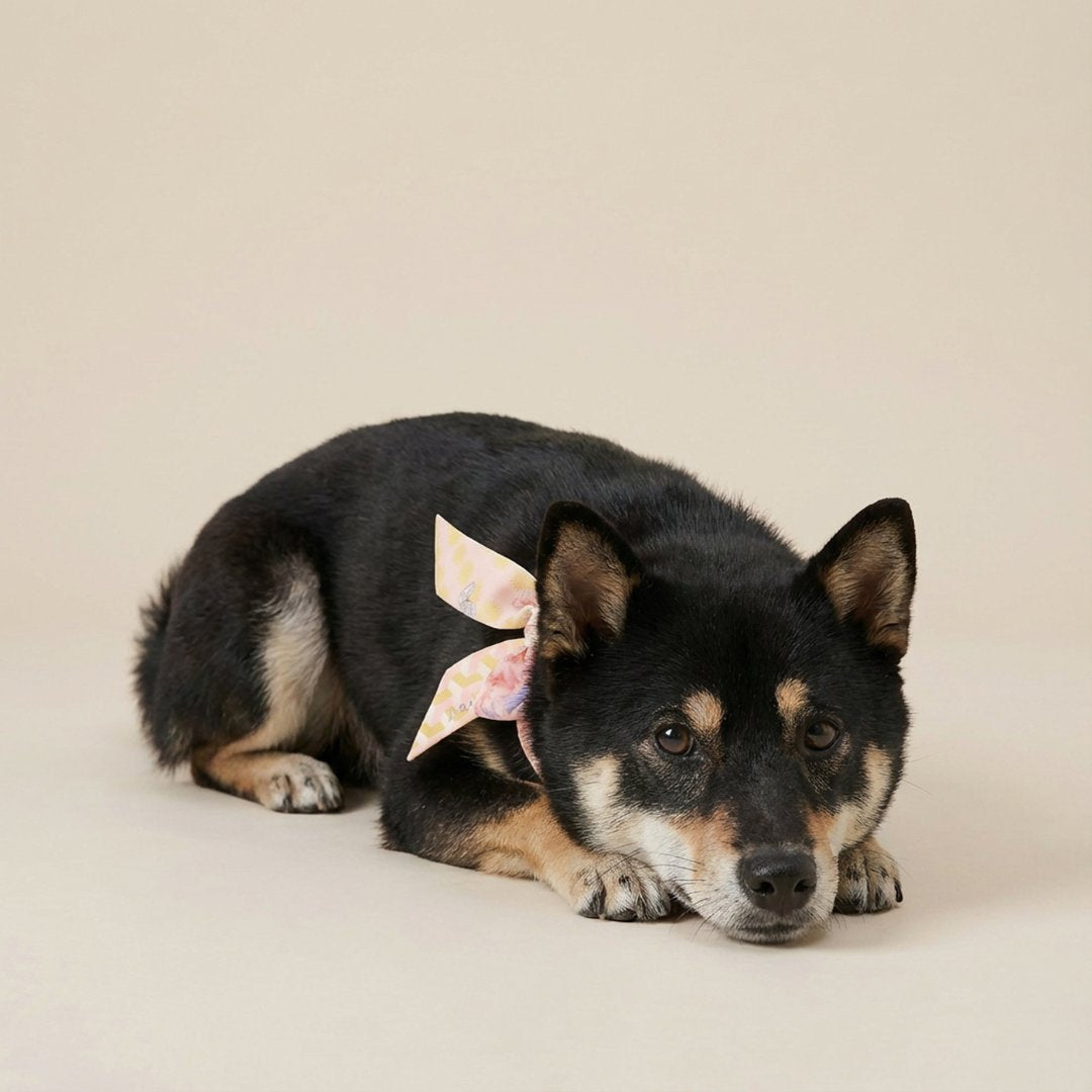 Twinning Outfits | You Are Mer-mazing Silky Scarf